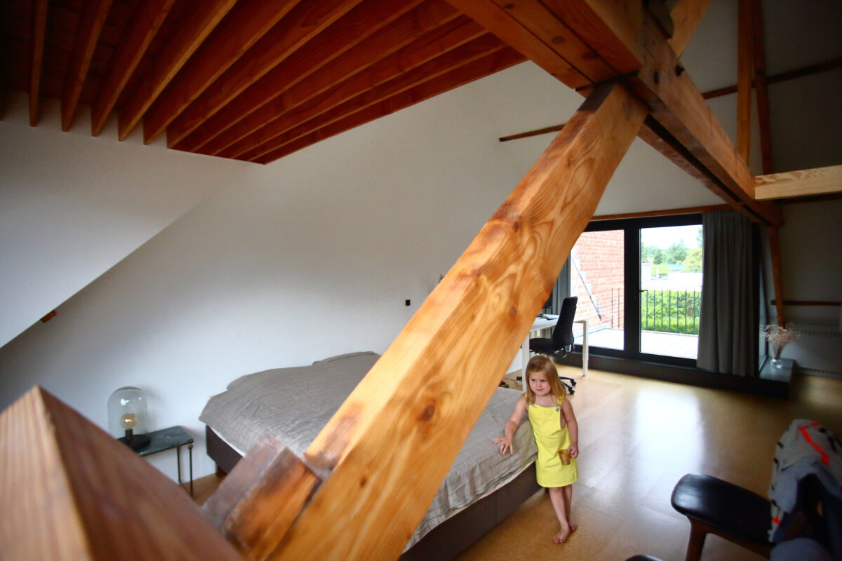 GBJ steen knikt glas snijdt hout